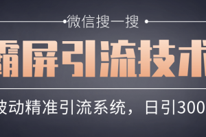 微信搜一搜霸屏引流技术，打造被动精准引流系统，轻松日引300+流量