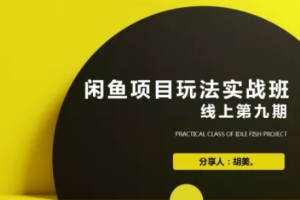 闲鱼项目玩法第9期蓝海营销项目，从0到1实操教您如何批量化去玩（完整版）