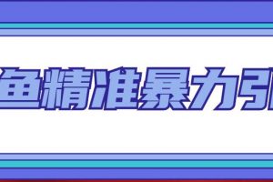 闲鱼精准暴力引流全系列课程，每天被动精准引流100+粉丝