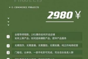 2023拼多多电商项目，稳定一天300～3000+，门槛低，出单快，一部手机即可完成