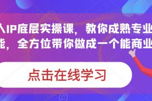 蟹老板·打爆个人IP底层实操课，教你成熟专业的打造IP技能，全方位带你做成一个能商业化IP