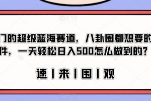 冷门的超级蓝海赛道，八卦圈都想要的文件，一天轻松日入500怎么做到的？【揭秘】