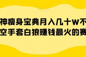 女神瘦身宝典月入几十W不是梦空手套白狼赚钱最火的赛道【揭秘】