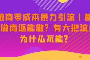 新·微商零成本暴力引流丨都2023了微商还能做？有大把流量，为什么不能？