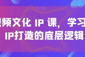 短视频文化IP课，学习文化IP打造的底层逻辑