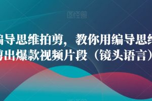 用编导思维拍剪，教你用编导思维拍剪出爆款视频片段（镜头语言）