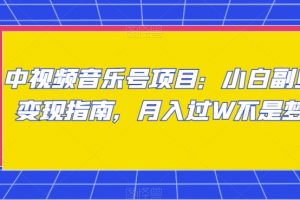 中视频音乐号项目：小白副业变现指南，月入过W不是梦【揭秘】