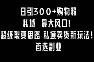 日引300+购物粉，超级裂变思路，私域卖货新玩法，小红书首选副业【揭秘】