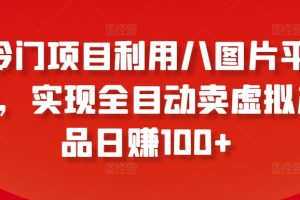 冷门项目利用八图片平台，实现全目动卖虚拟产品日赚100+【揭秘】