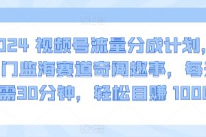 2024视频号流量分成计划，冷门监海赛道奇闻趣事，每天只需30分钟，轻松目赚 1000+【揭秘】