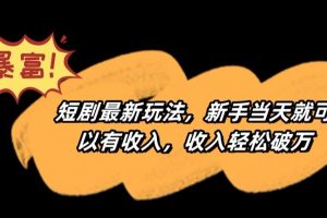 短剧最新玩法，新手当天就可以有收入，收入轻松破万【揭秘】