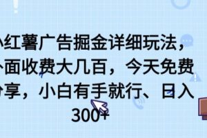 小红薯广告掘金详细玩法，外面收费大几百，小白有手就行，日入300+【揭秘】