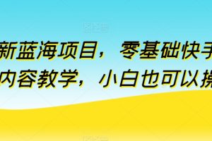 全新蓝海项目，零基础快手付费内容教学，小白也可以操作【揭秘】