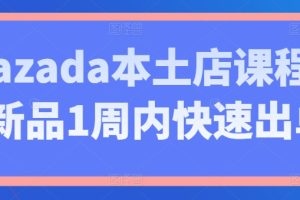 Lazada本土店课程，新品1周内快速出单