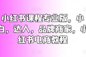 小红书课程专业版，小白，达人，品牌商家，小红书电商教程